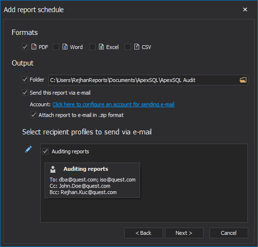 Audit report output setup
