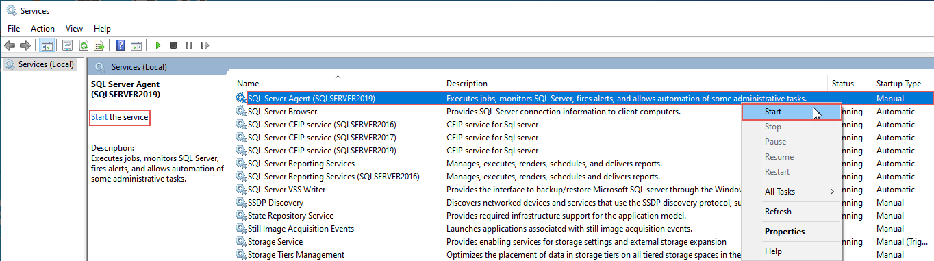 Start the SQL Server from the Services