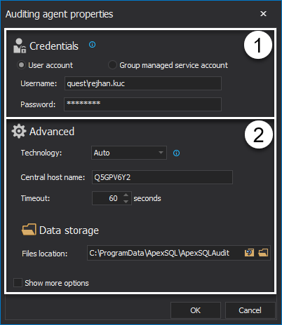 Auditing agent properties dialog